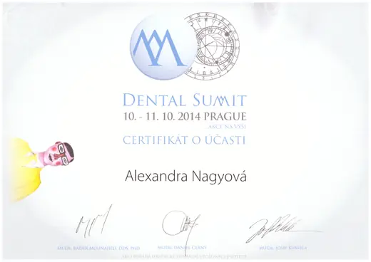 Dental Summit – Praha, 2014